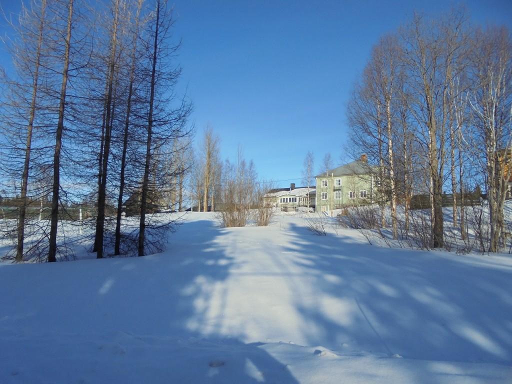 Jaerjagarden Guesthouse Storsele エクステリア 写真